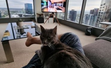 Weekly Summary (14th Nov 2021)